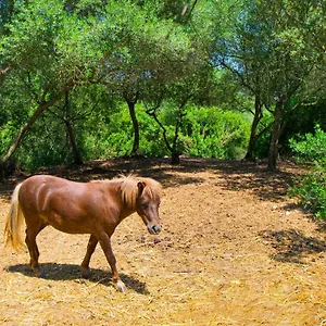Putxet D'en Robi By Mallorca Selection Villa