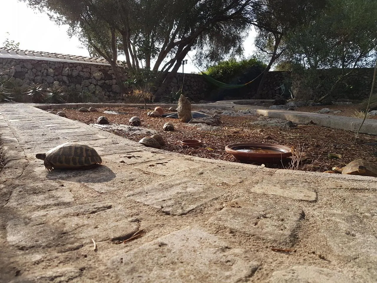 Country house Turismo Rural Biniati Des Pi Sant Lluis Spain